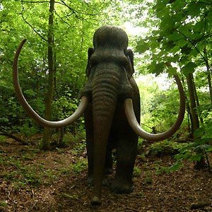 j33-dinopark-jun06-6px(001)